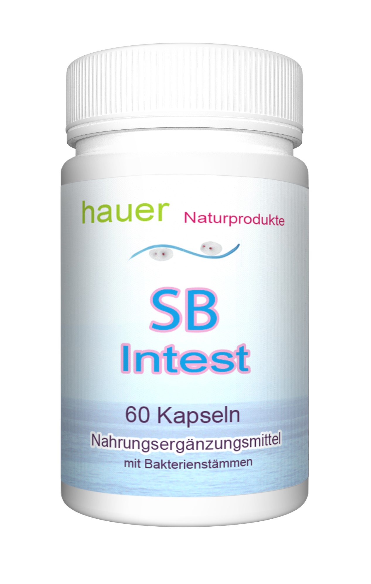SB-Intest