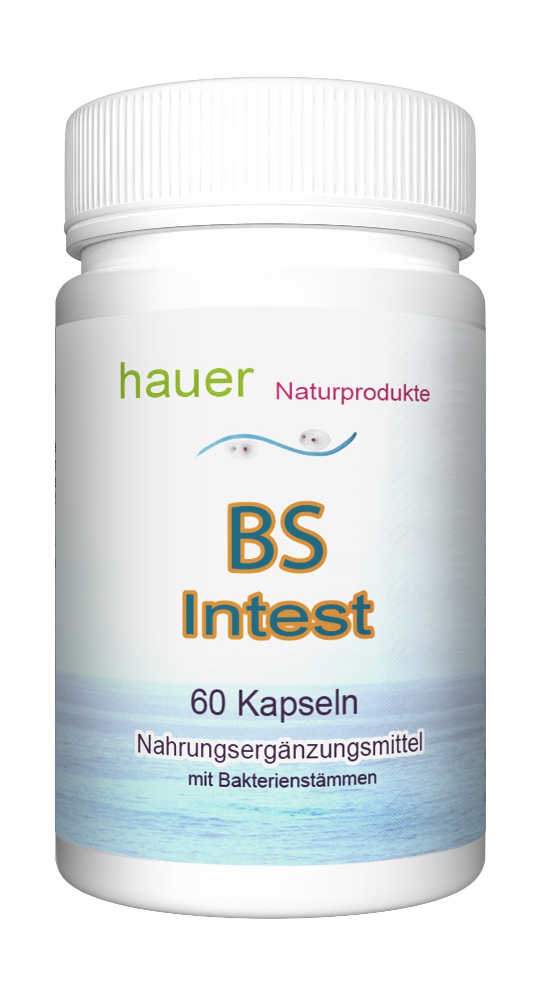BS-Intest